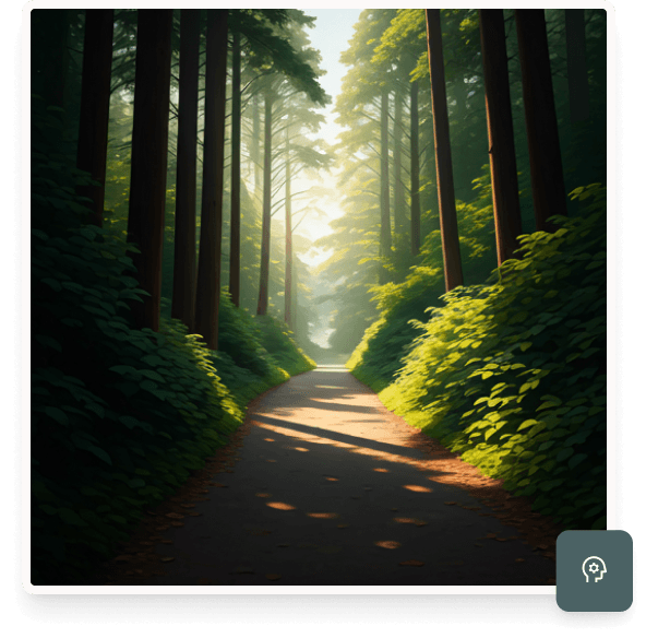 camino-adaptado